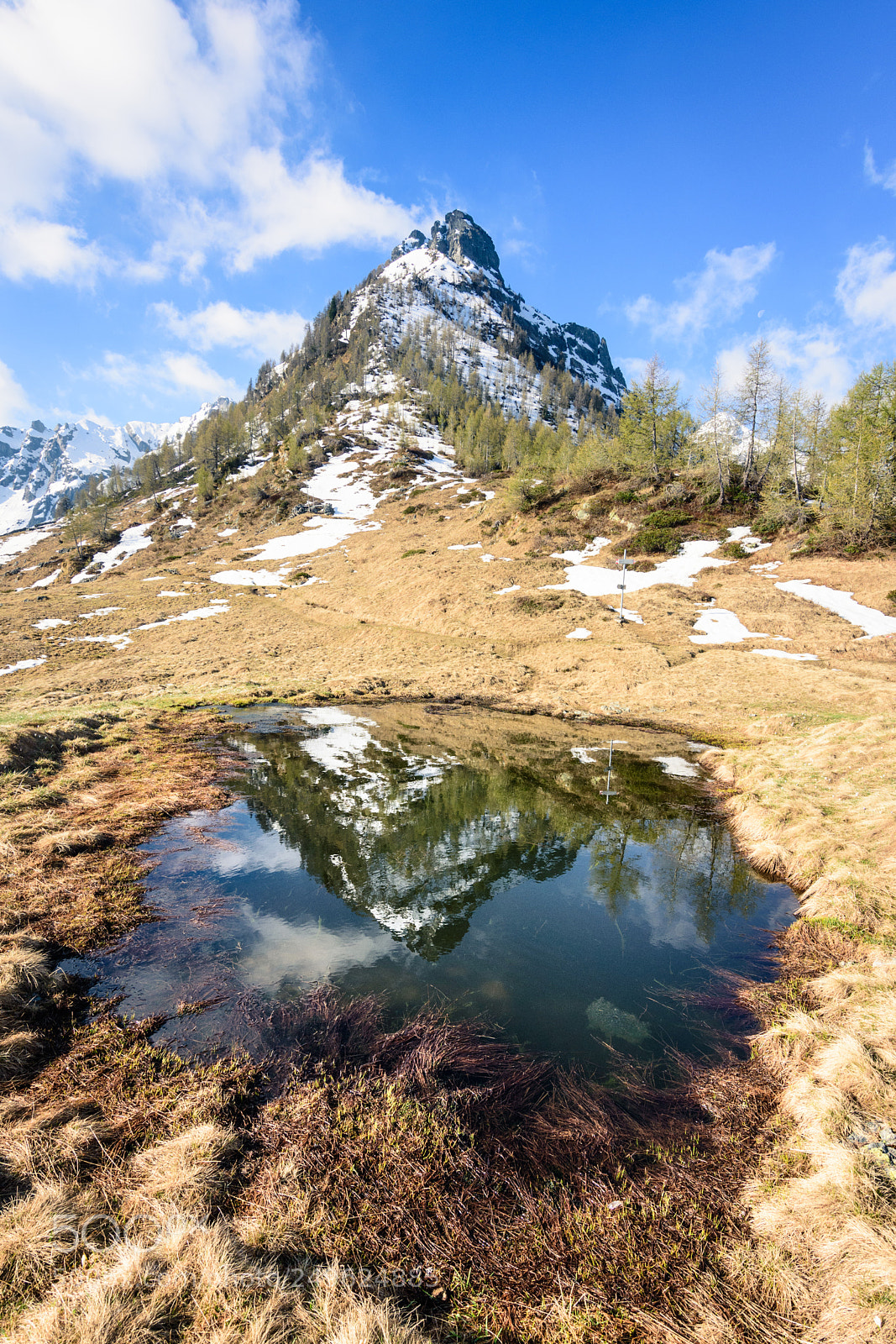 Nikon D7200 sample photo. Reflected photography