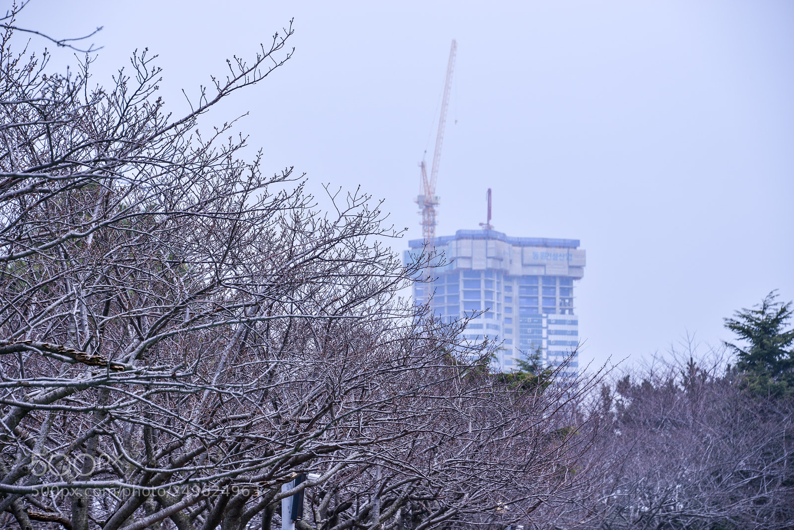 Nikon D800 sample photo. During building the building photography