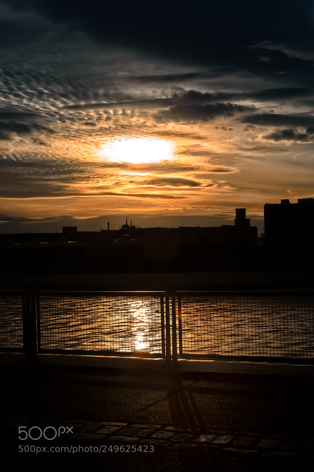 Nikon D5600 sample photo. Eopath_120 photography