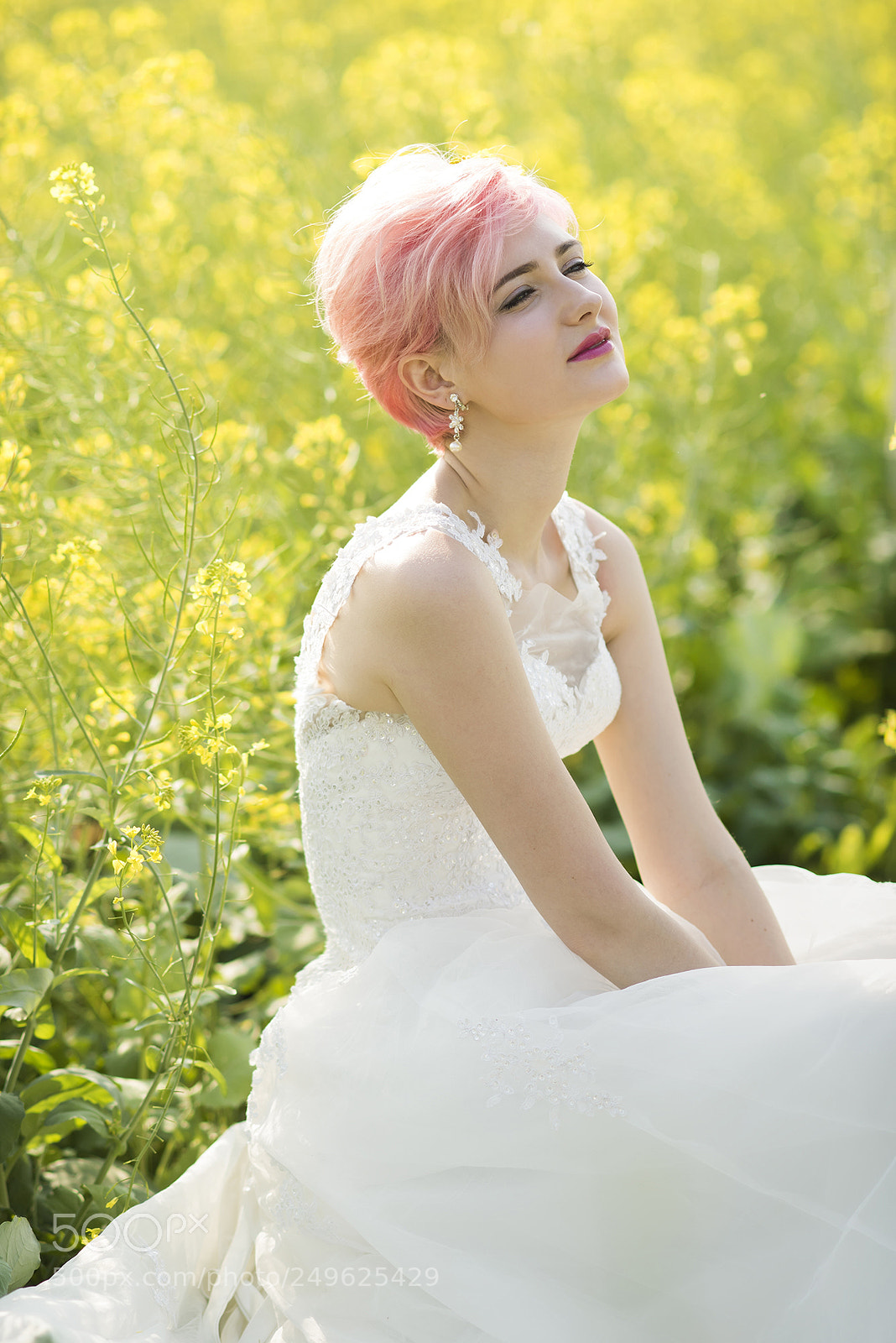 Nikon D810 sample photo. Yellow flowers 2 photography