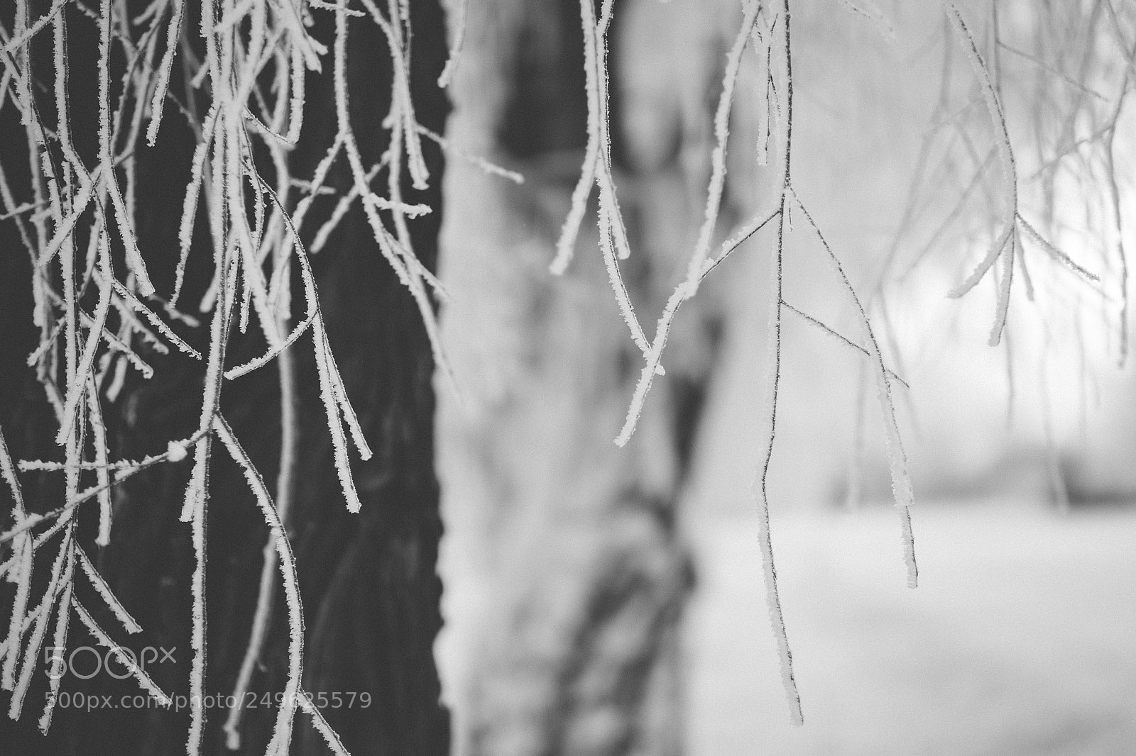 Fujifilm X-T1 sample photo. Snowcovered photography