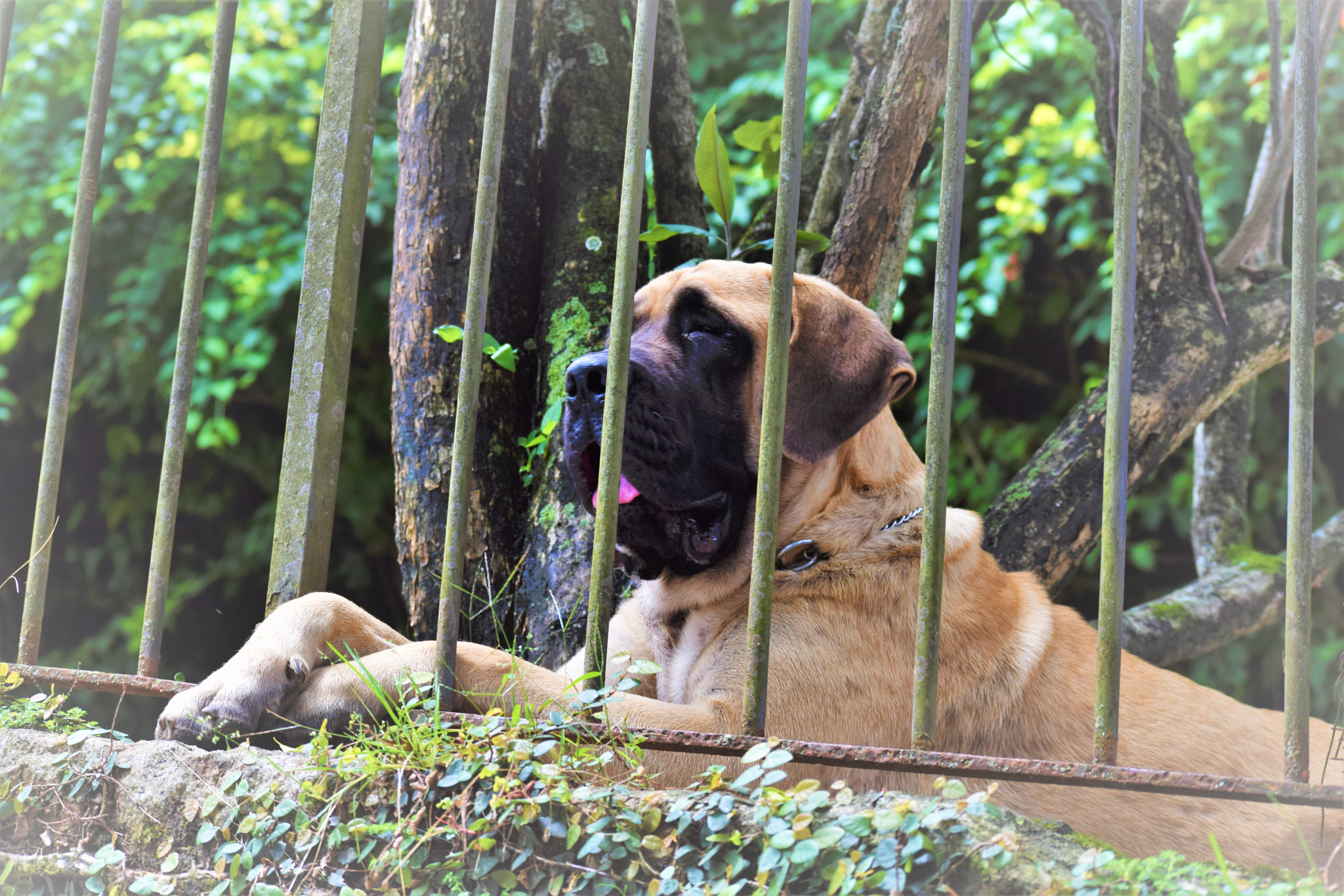 Nikon D5300 sample photo. Posing for a picture photography
