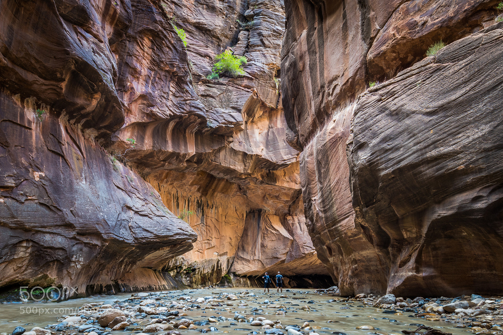 Canon EOS M5 sample photo. River walk in zion photography
