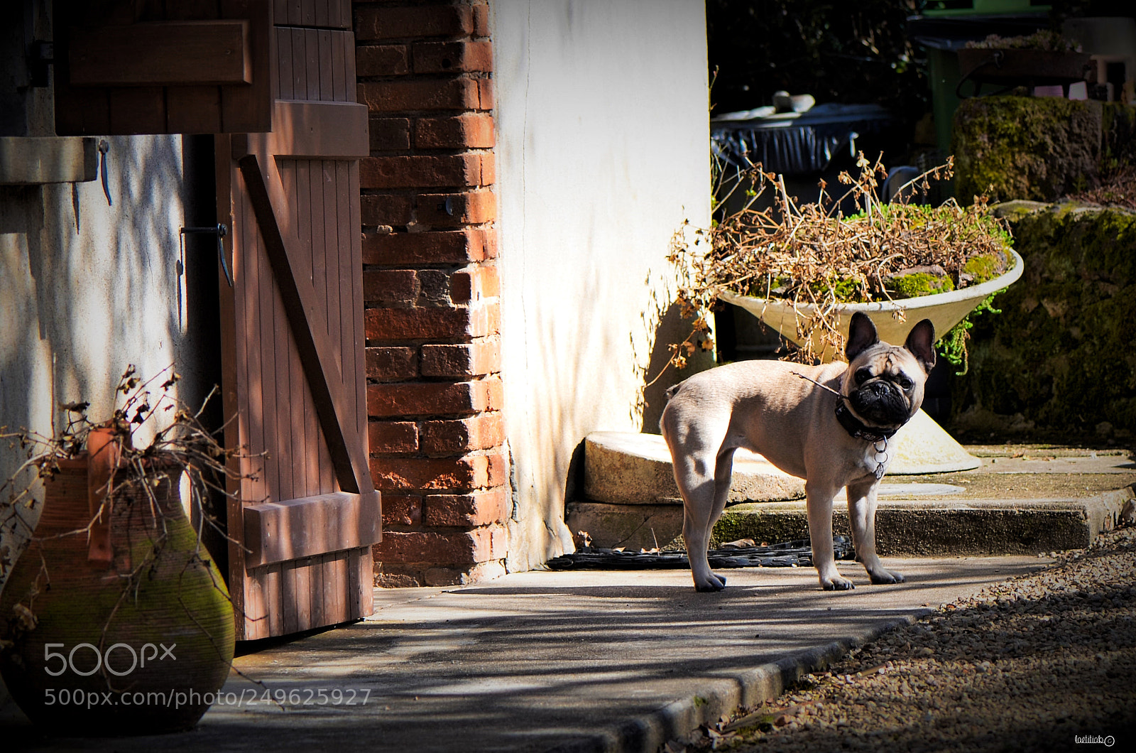 Nikon D7000 sample photo. Let me smoke photography