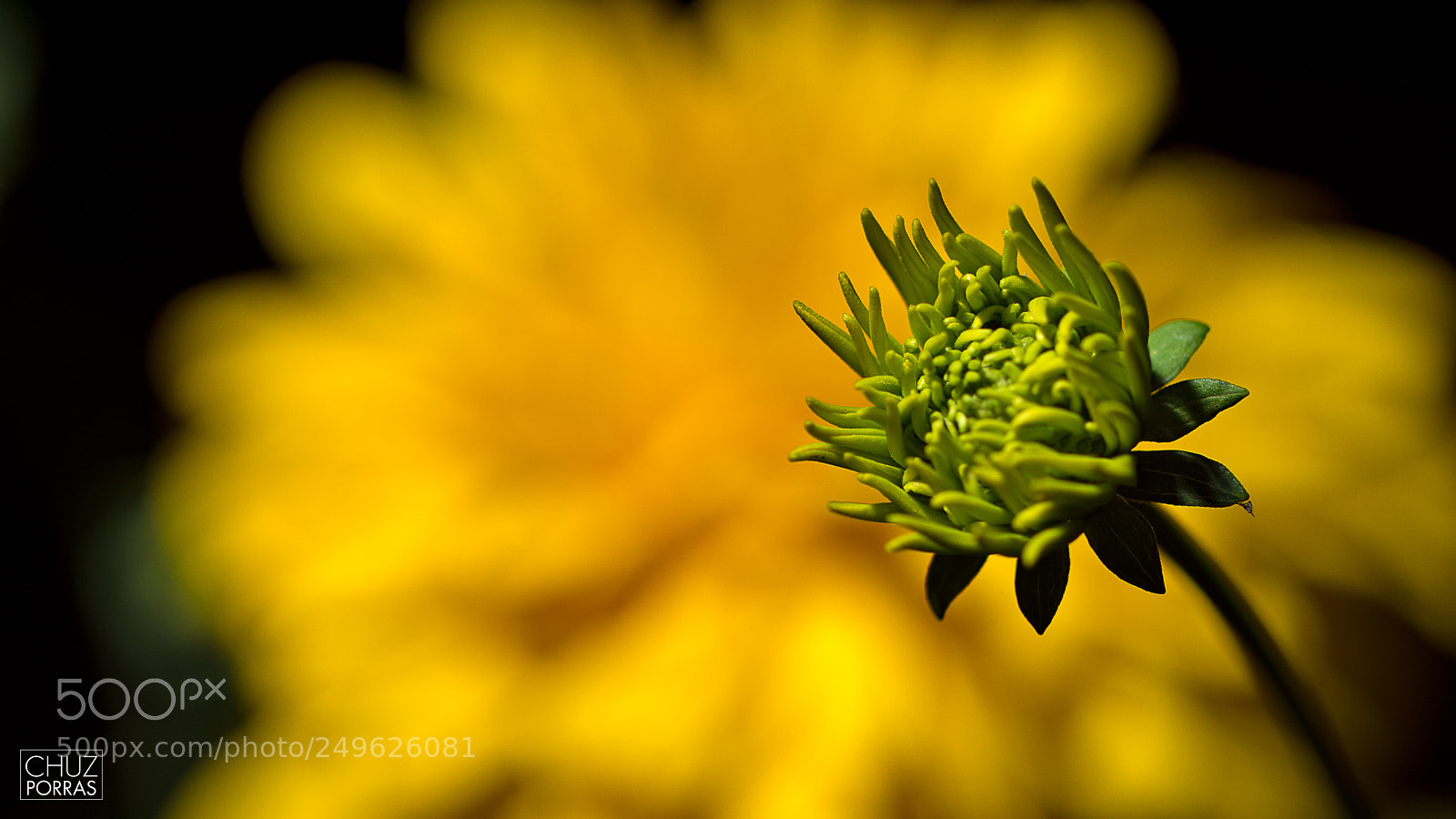 Nikon D7100 sample photo. Present and future 1 photography