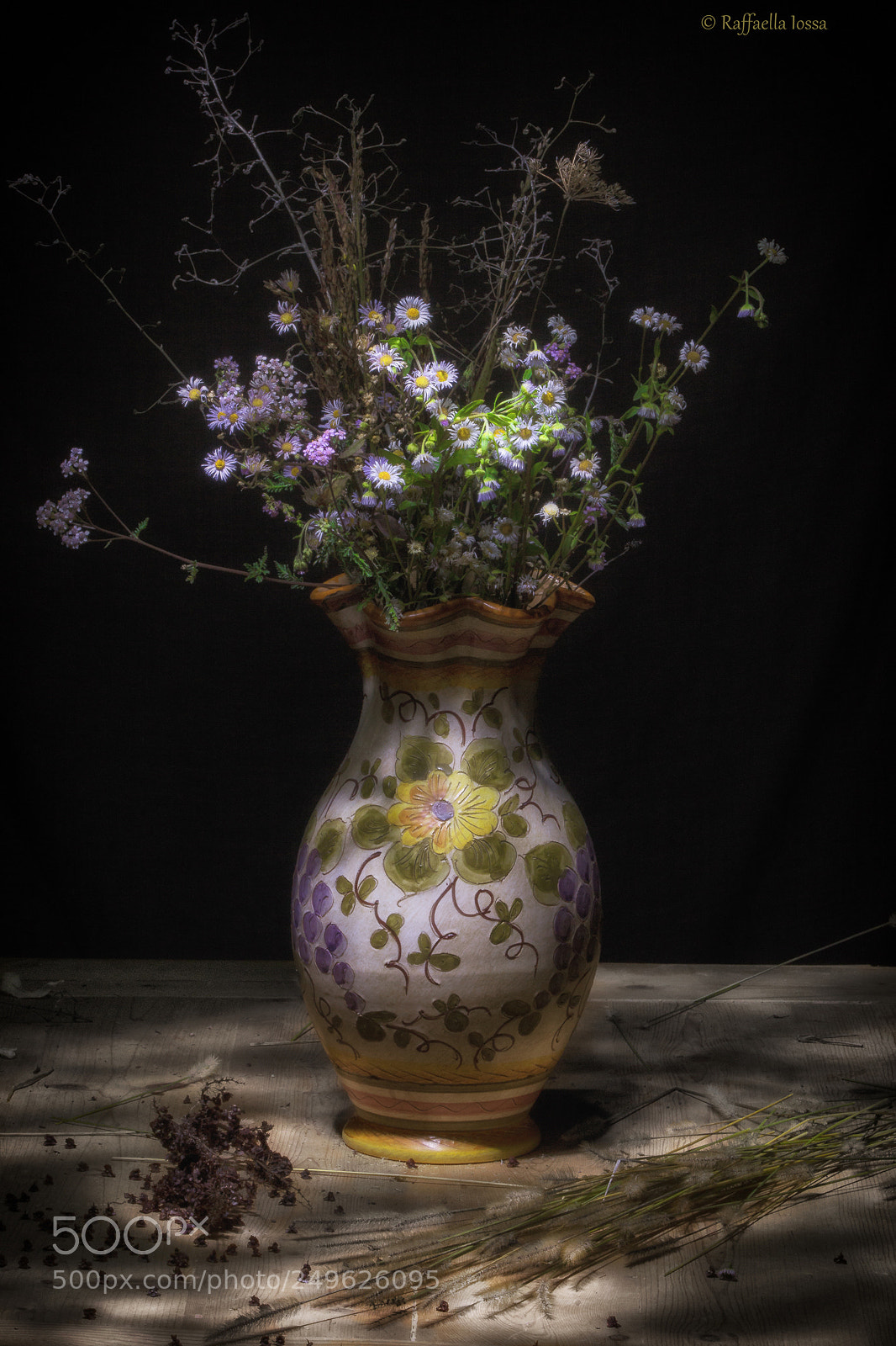 Canon EOS 70D sample photo. Ultime margheritine photography