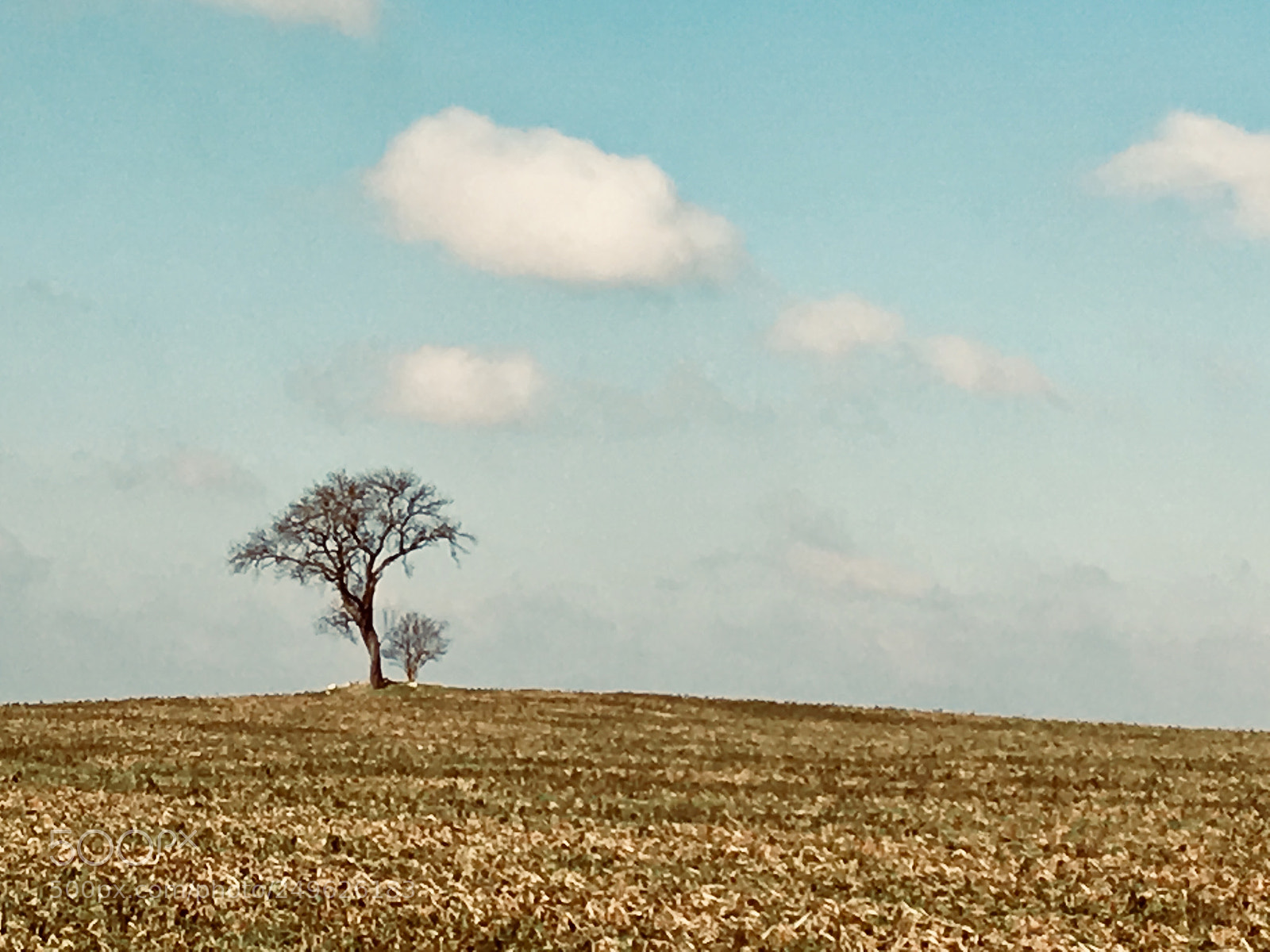 Apple iPhone SE sample photo. Untitled photography