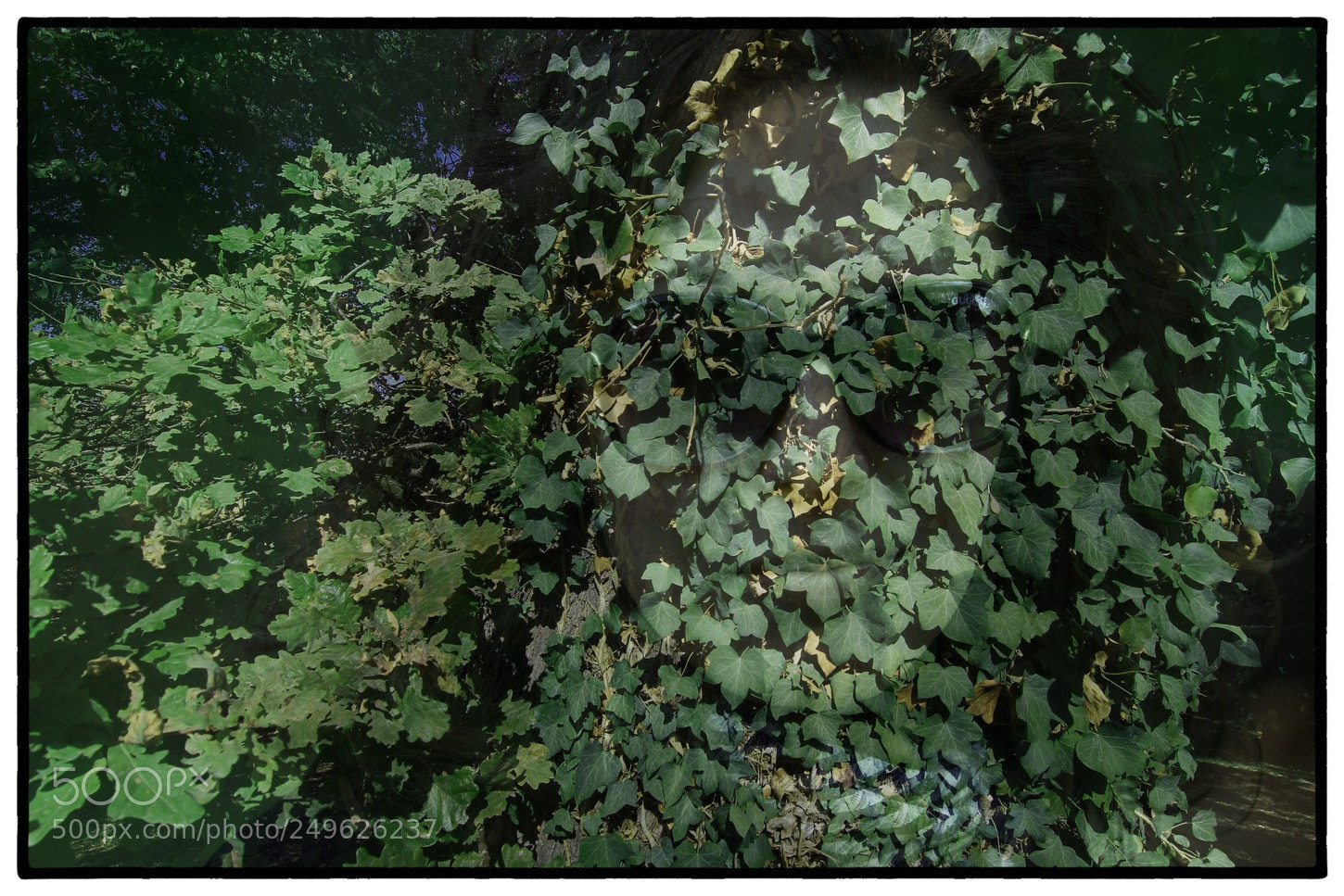 Canon EOS 7D sample photo. Greeny photography