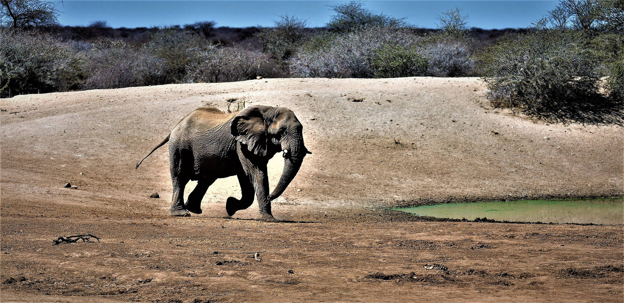Nikon D90 sample photo. In the desert water is life / dans l´eau du desert est la vie photography
