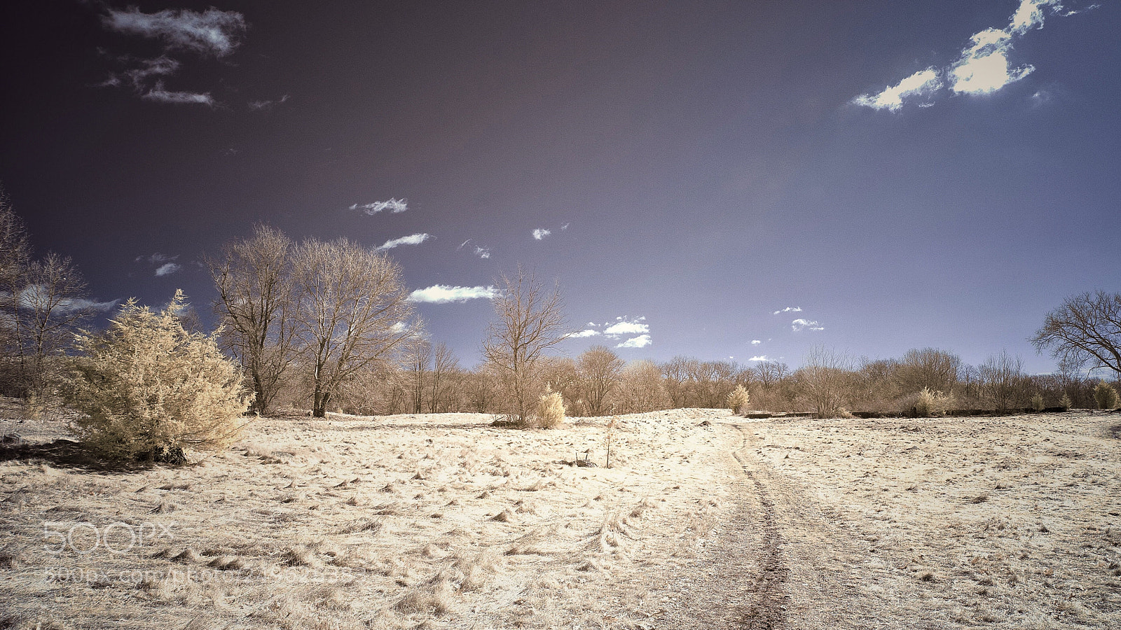 Nikon D40X sample photo. Wasteland ir photography