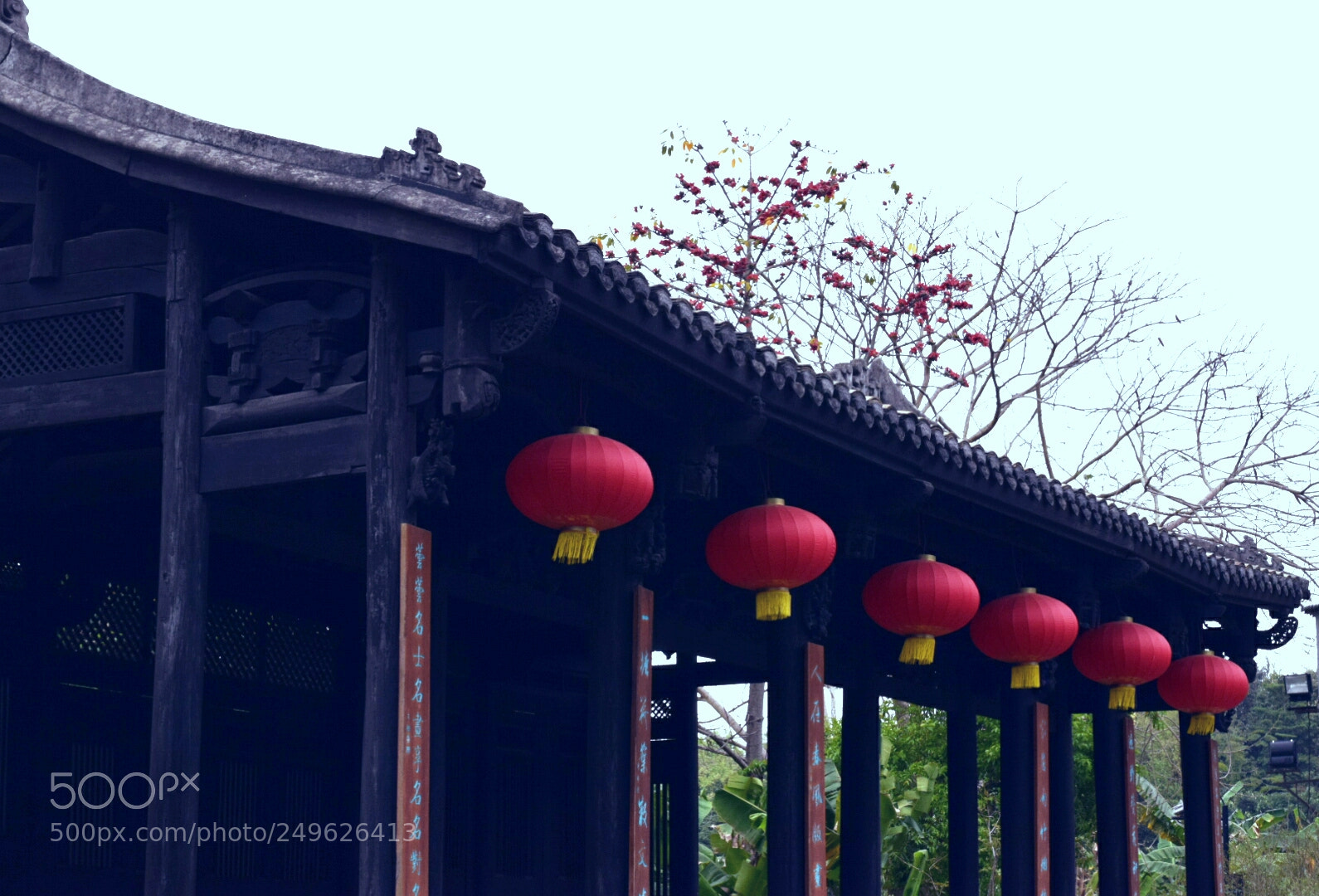 Nikon D5300 sample photo. Untitled photography