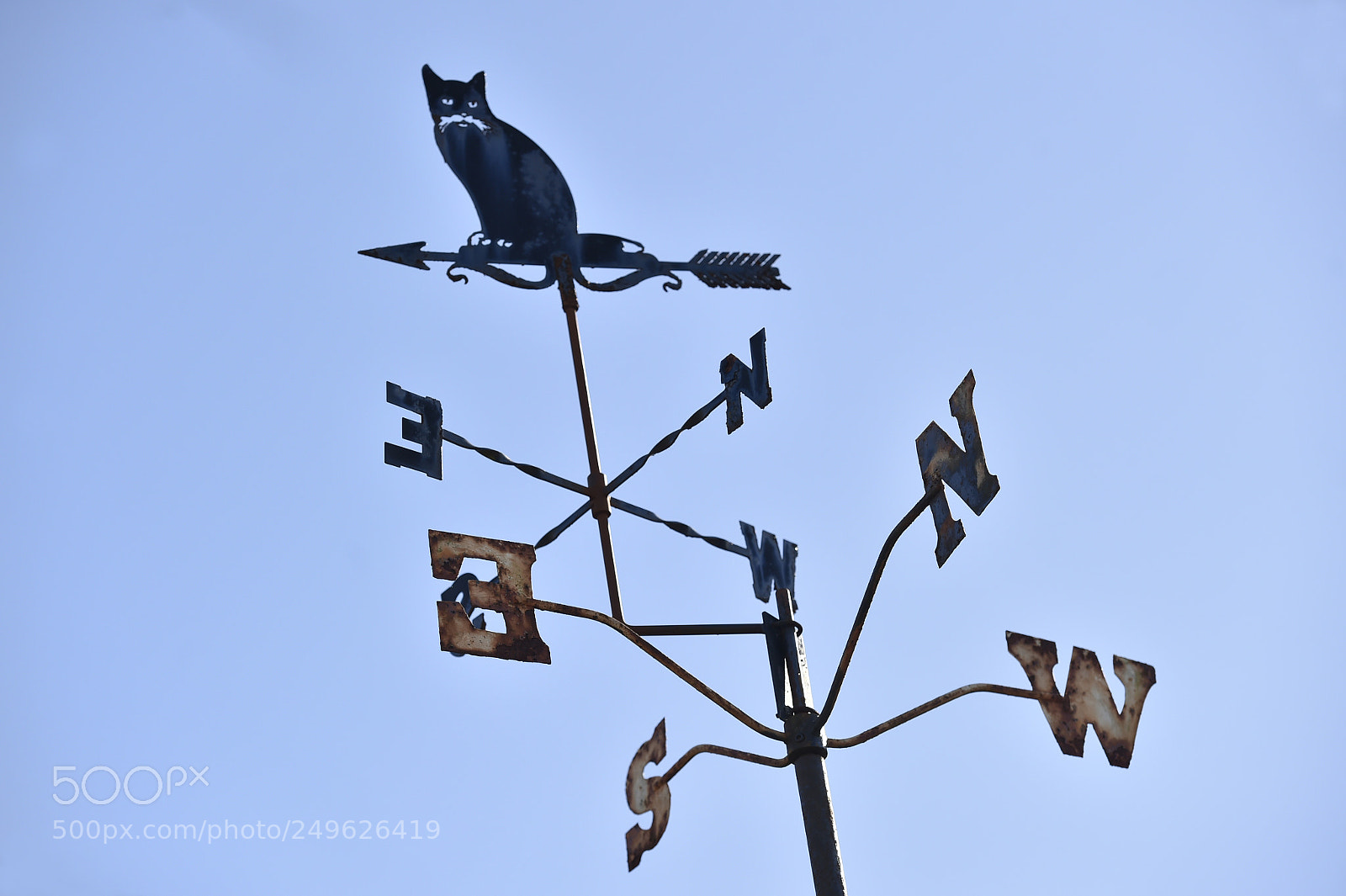 Nikon D4S sample photo. Cat wind vane photography