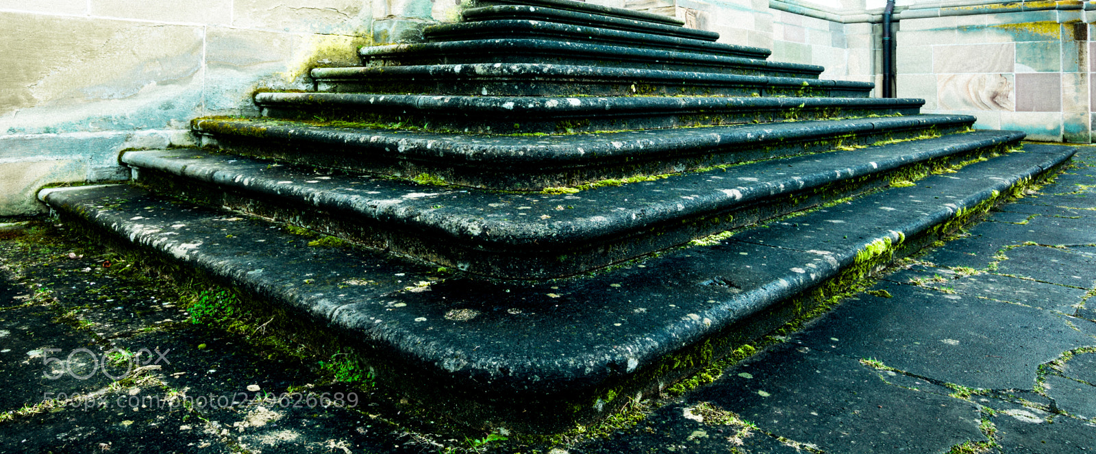Nikon D7100 sample photo. Mossy stairs photography