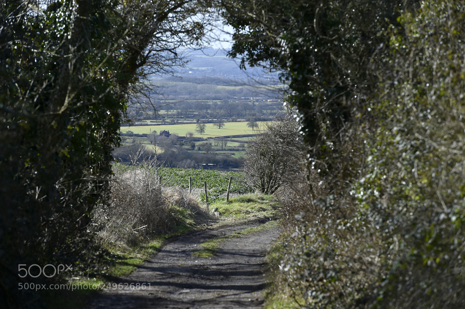 Nikon D4S sample photo. Salisbury hollow in wiltshire photography