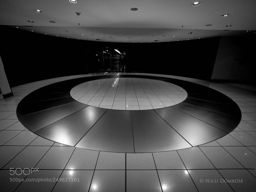 Olympus OM-D E-M1 Mark II sample photo. The ring photography