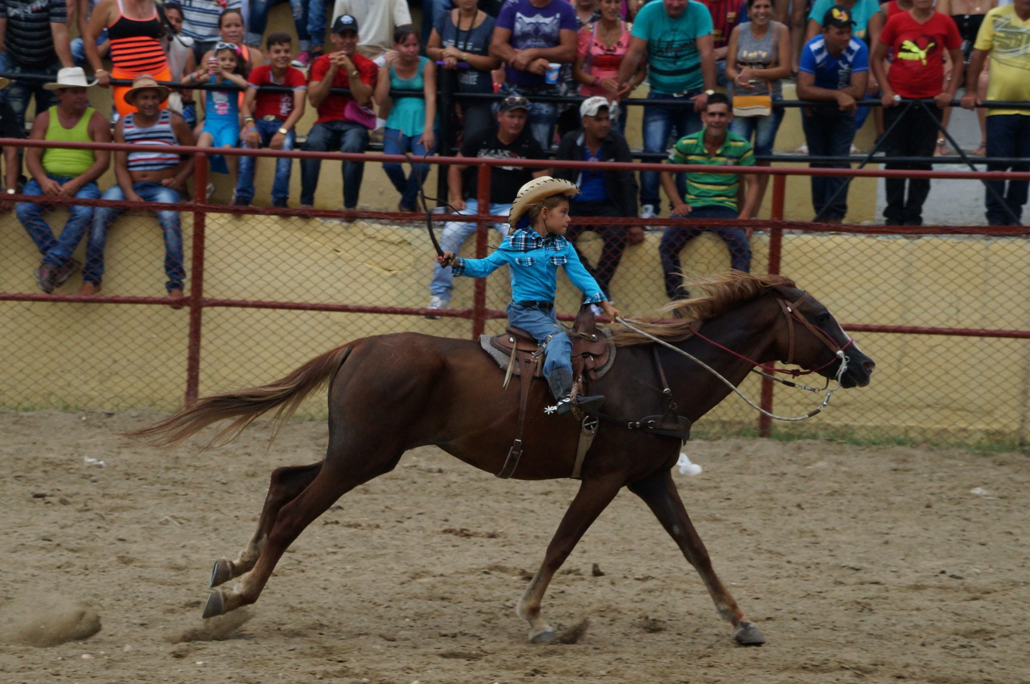 Sony DT 55-200mm F4-5.6 SAM sample photo. Dsc photography