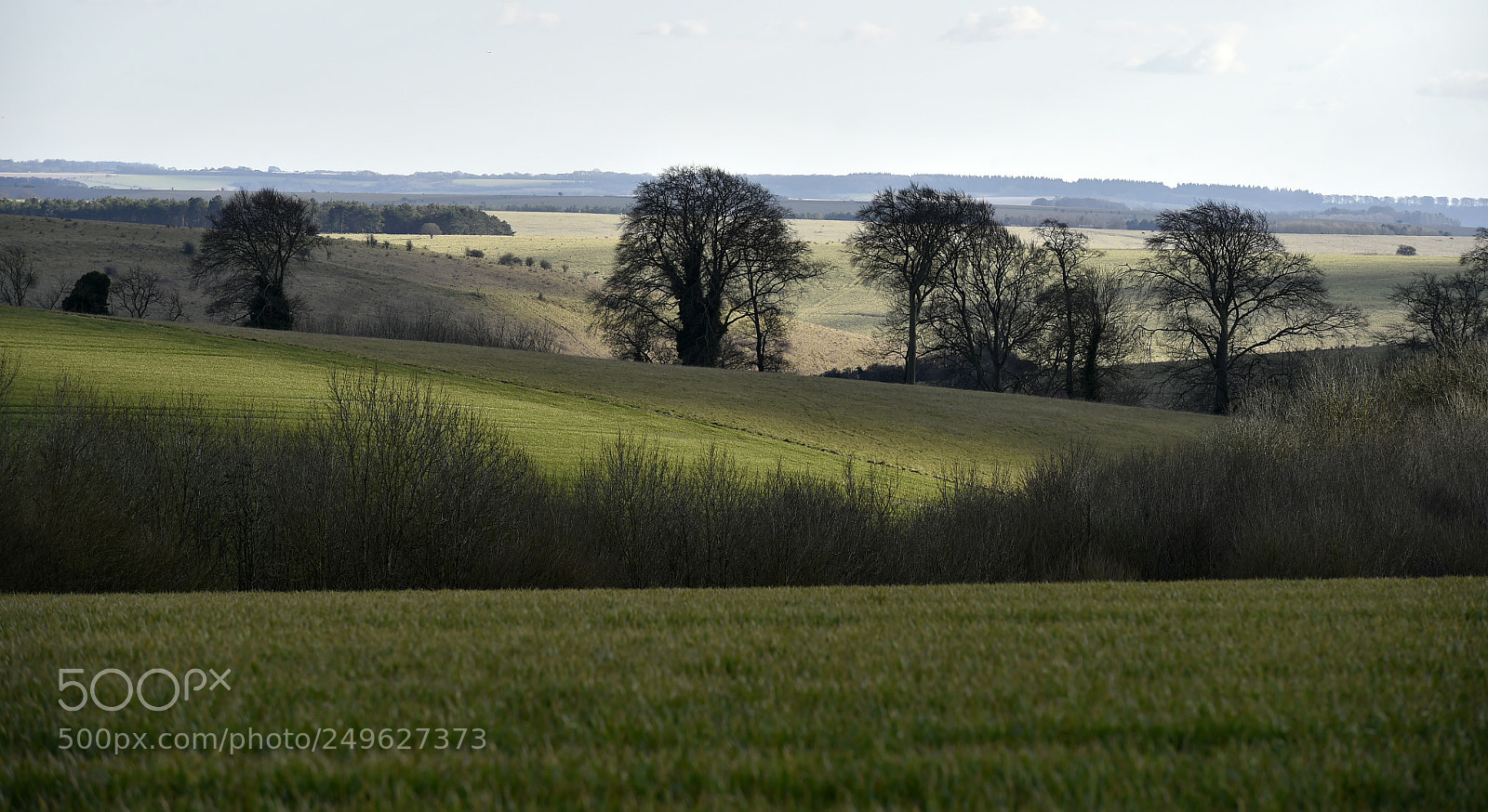 Nikon D4S sample photo. Salisbury plain photography