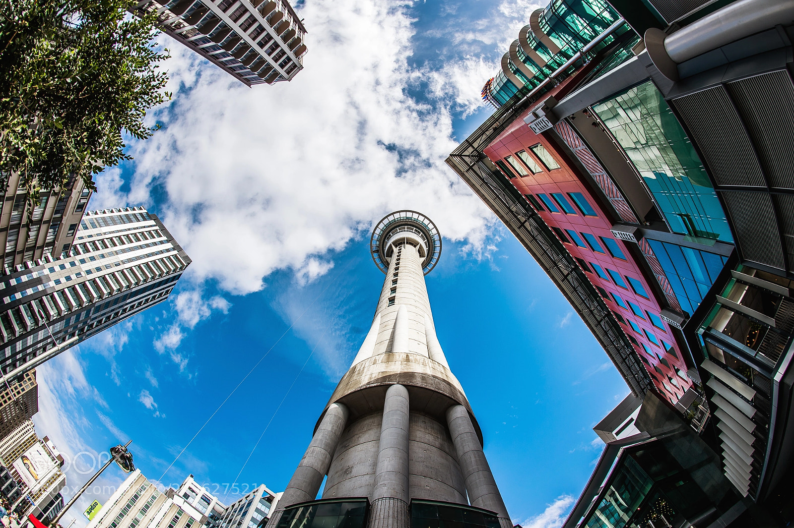 Nikon D4 sample photo. Auckland : new zealand photography