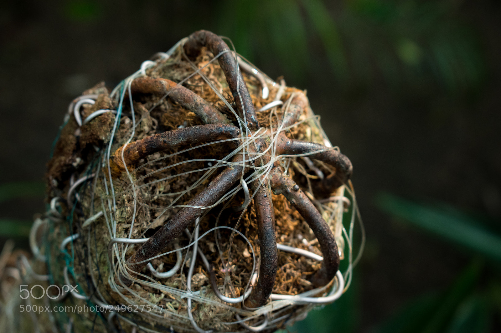 Nikon D5600 sample photo. Sculpture photography