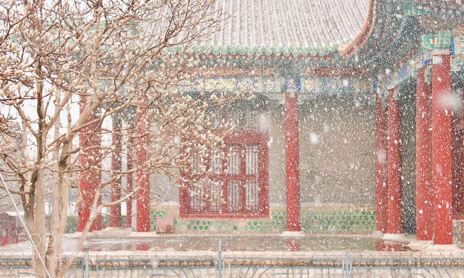 Canon EOS 500D (EOS Rebel T1i / EOS Kiss X3) sample photo. Beijing snow photography