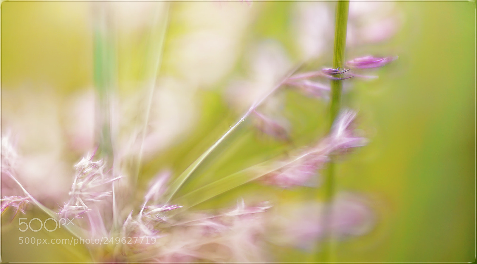 Sony a7R II sample photo. Halte dich fest, lasse photography