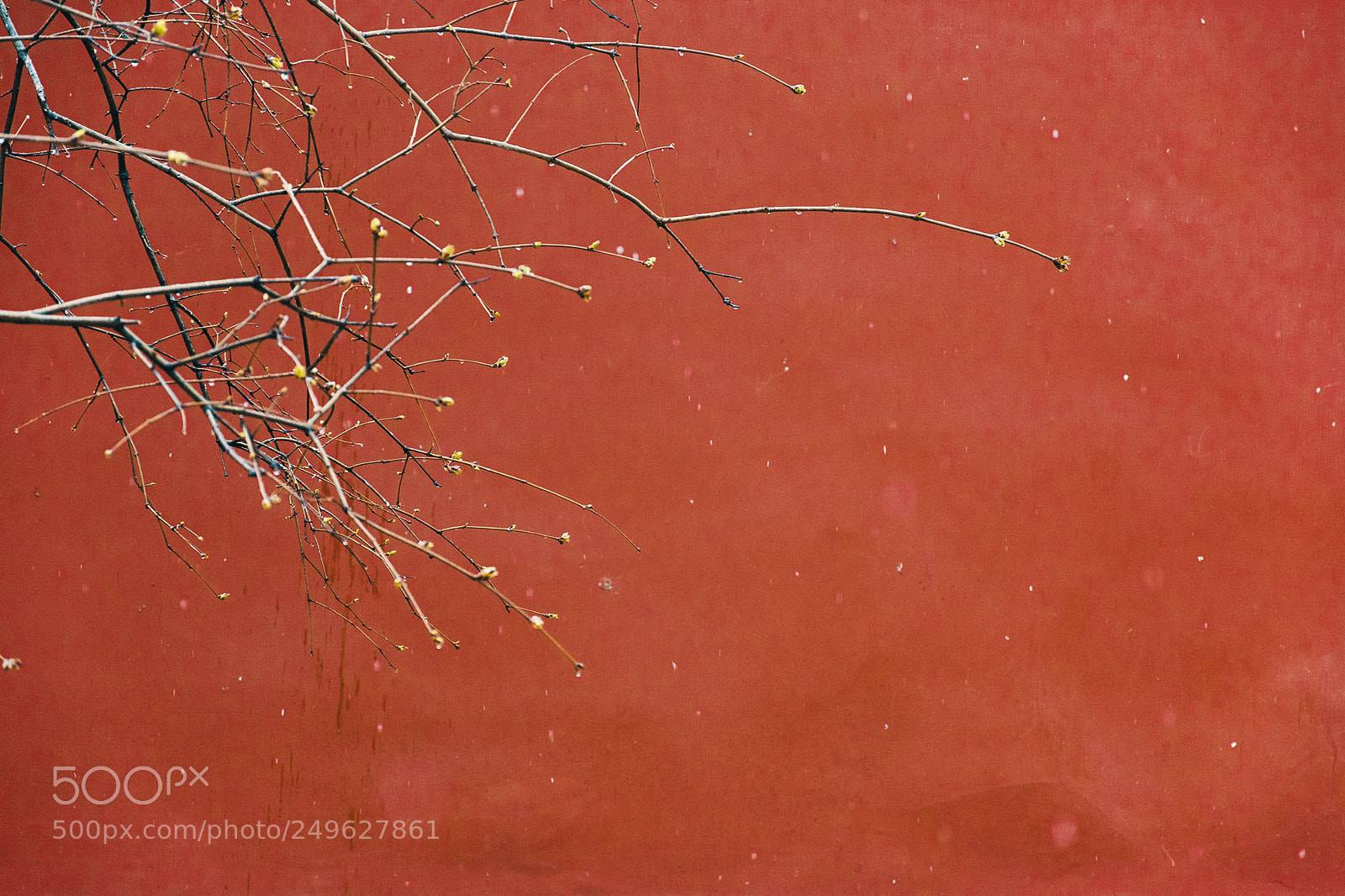 Nikon D7100 sample photo. Untitled photography