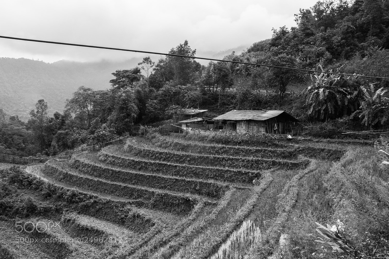 Canon EOS 70D sample photo. Ricefield in sapa photography