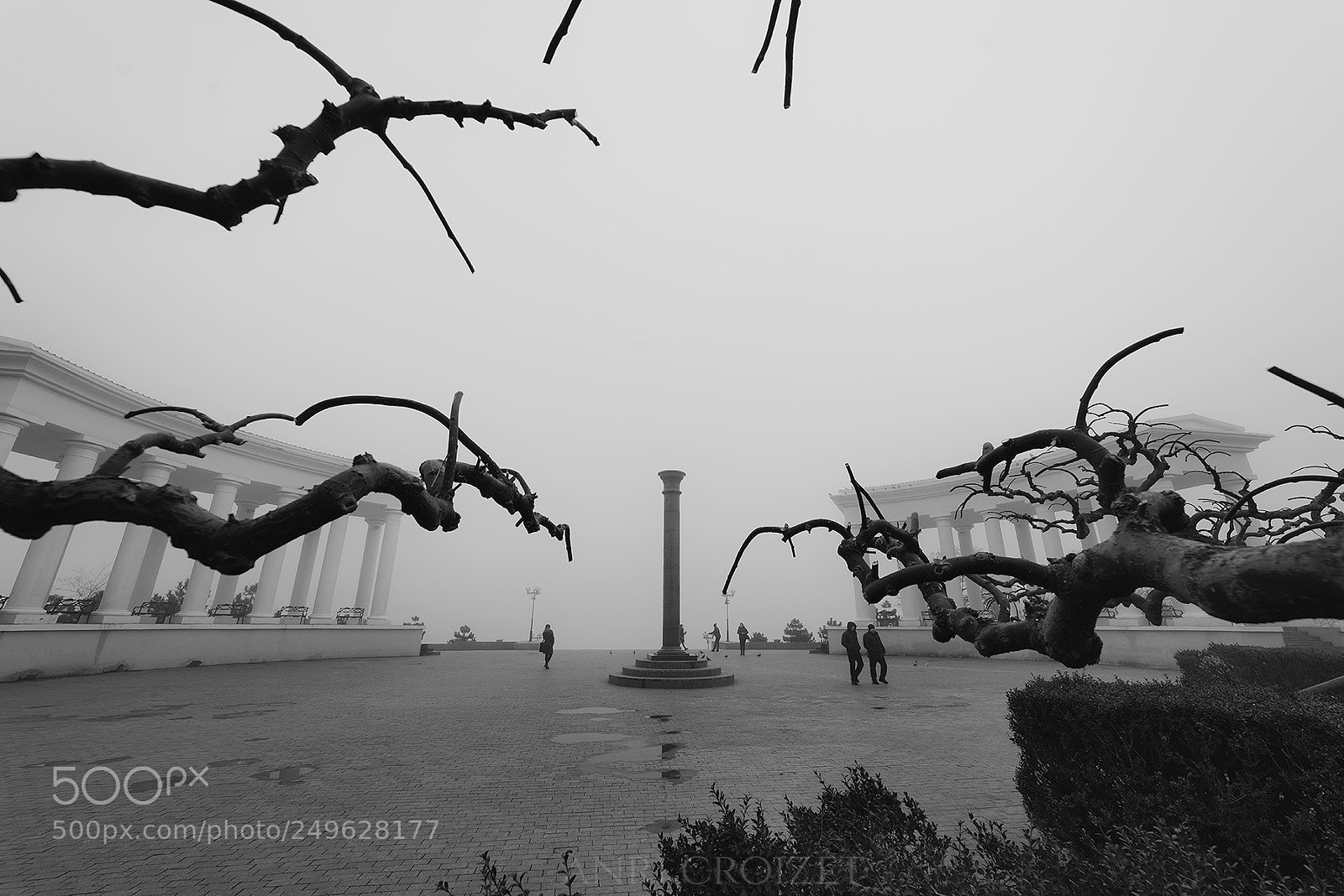 Sony a7R III sample photo. ... photography