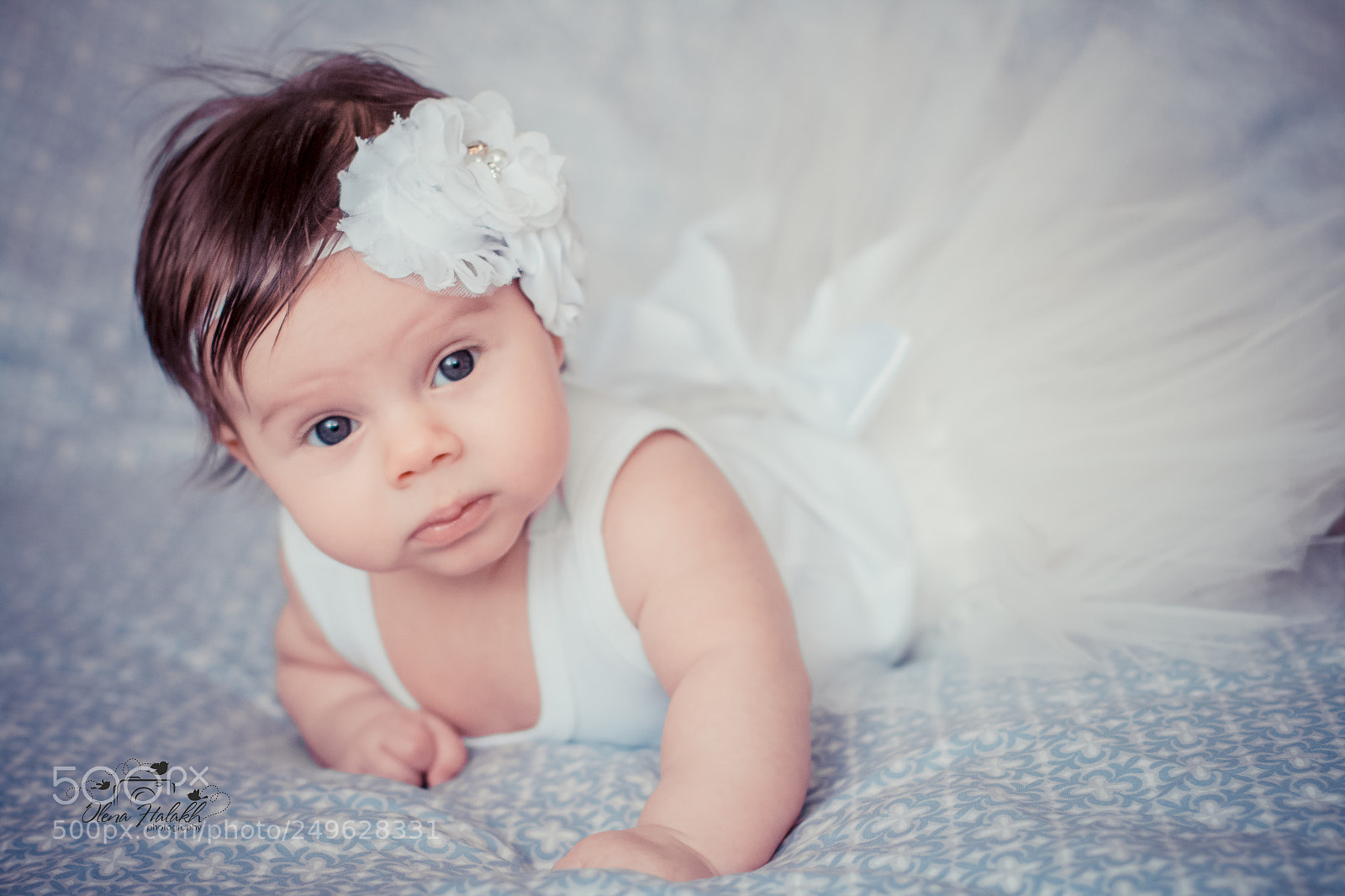 Canon EOS 70D sample photo. Img photography