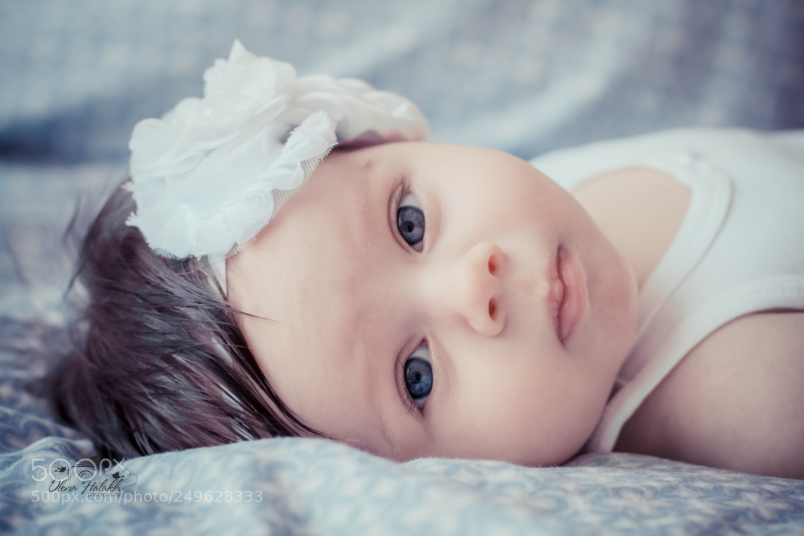 Canon EOS 70D sample photo. Img photography