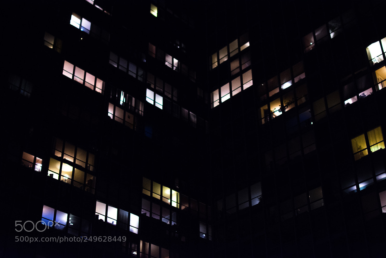 Nikon D7200 sample photo. Untitled photography