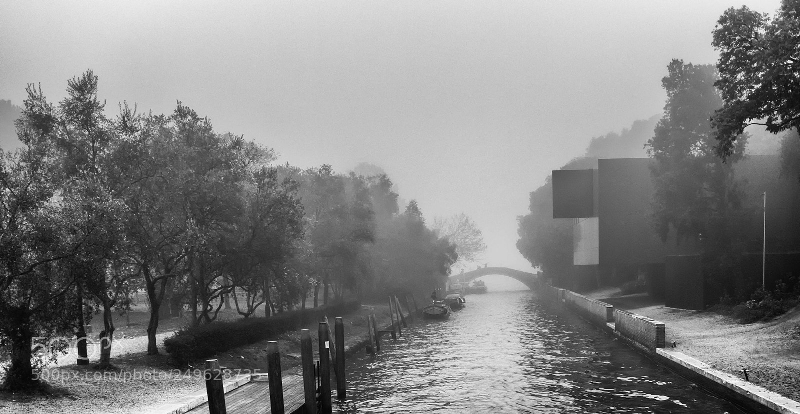Canon EOS 80D sample photo. Fog #2 photography