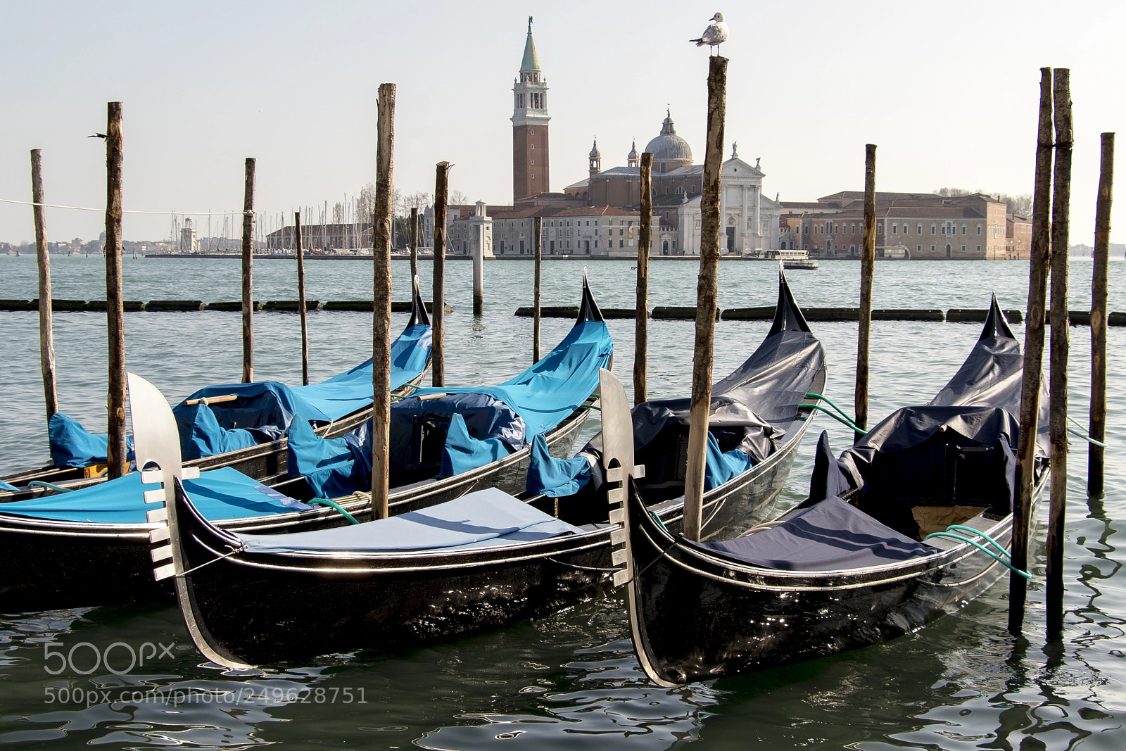Canon EOS 77D (EOS 9000D / EOS 770D) sample photo. Travelling in venice photography