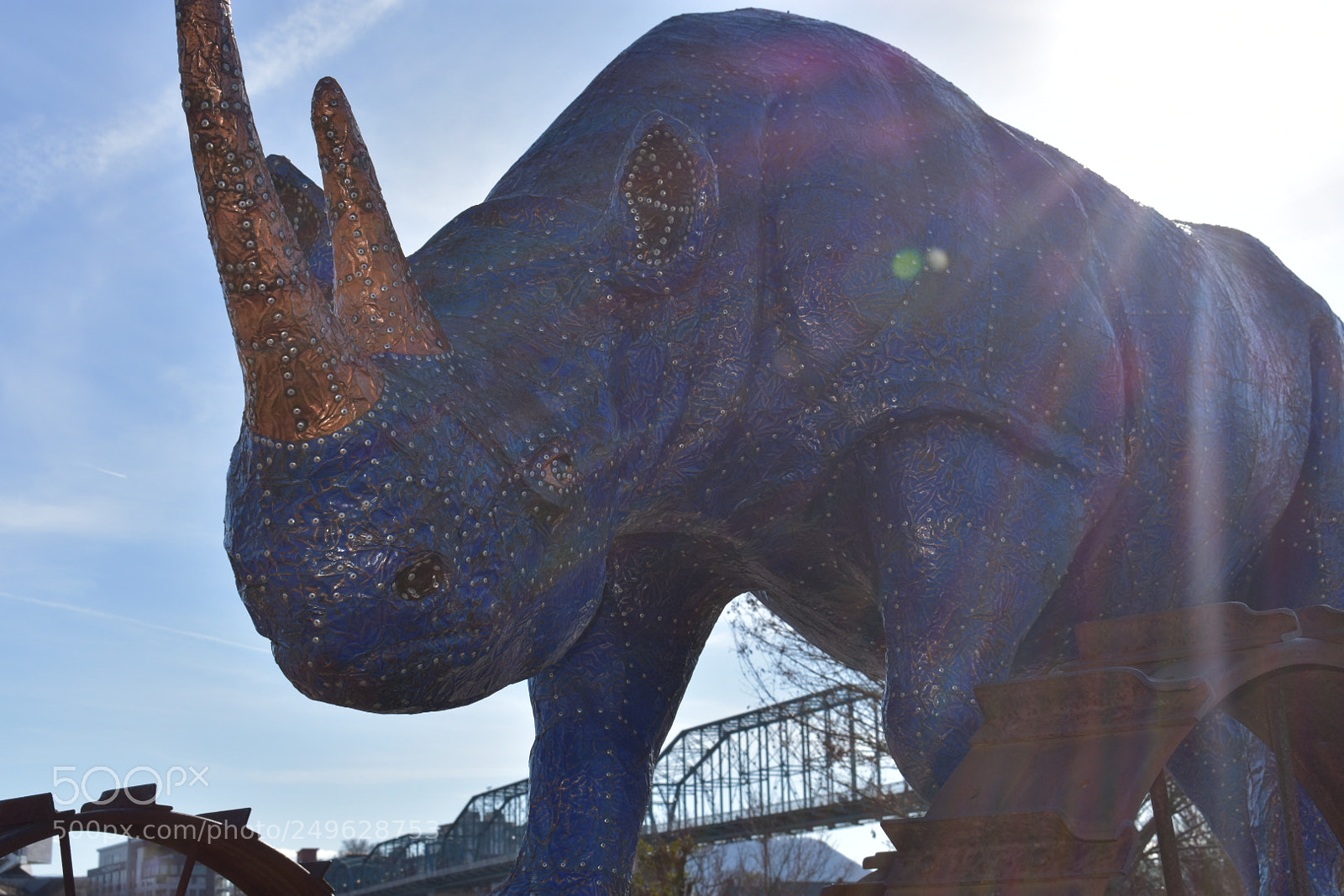 Nikon D3400 sample photo. The rhino in the photography