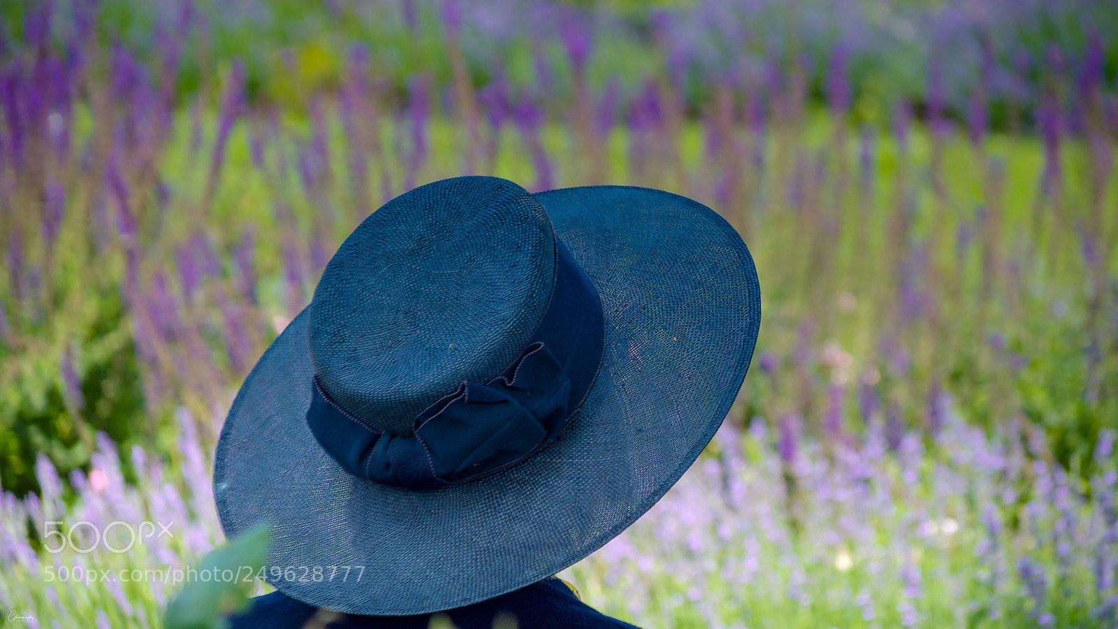 Nikon D5000 sample photo. Lady in the garden photography