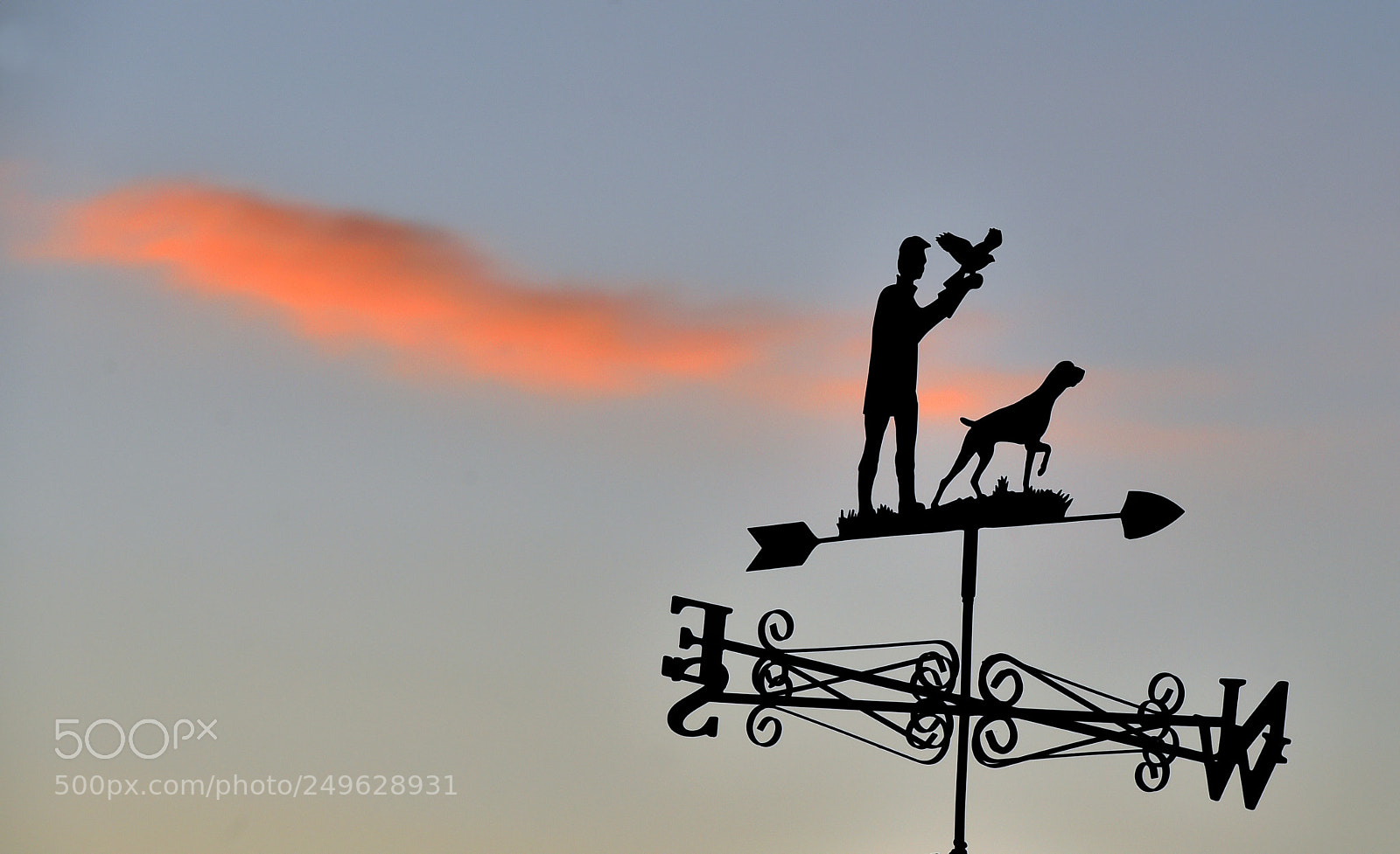 Nikon D4S sample photo. Rural weather vane in photography