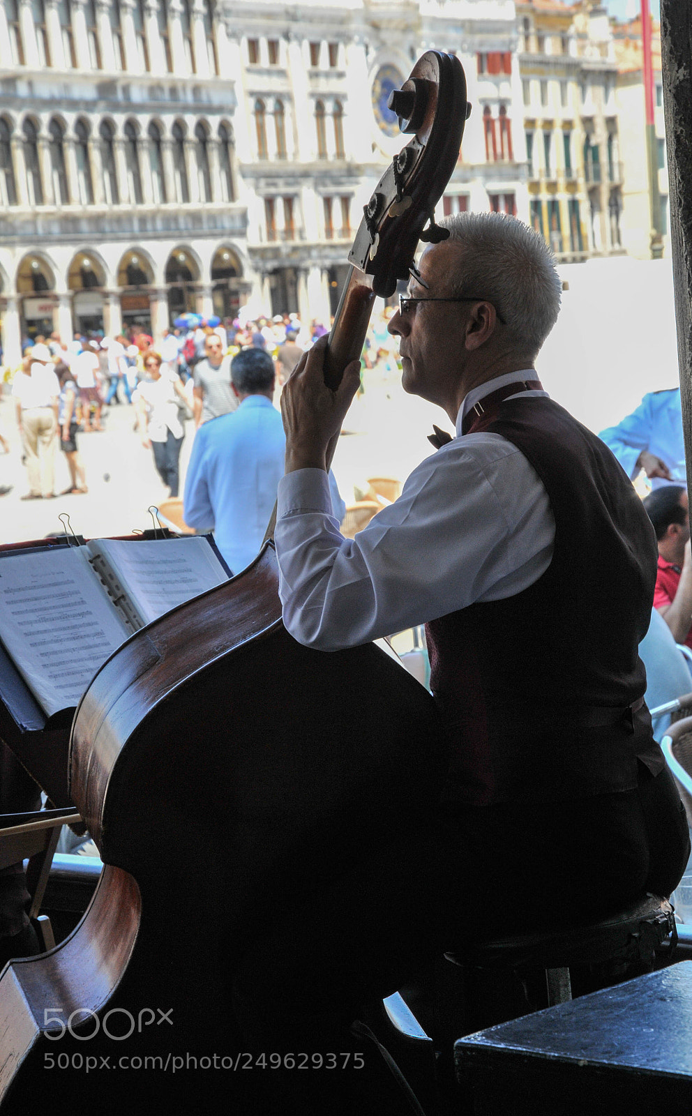 Nikon D300S sample photo. Violoncello photography