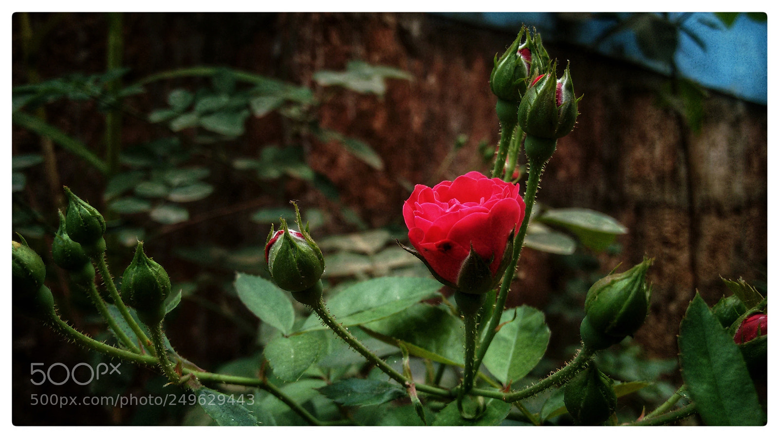 Motorola Moto G (2nd Gen) sample photo. Untitled photography