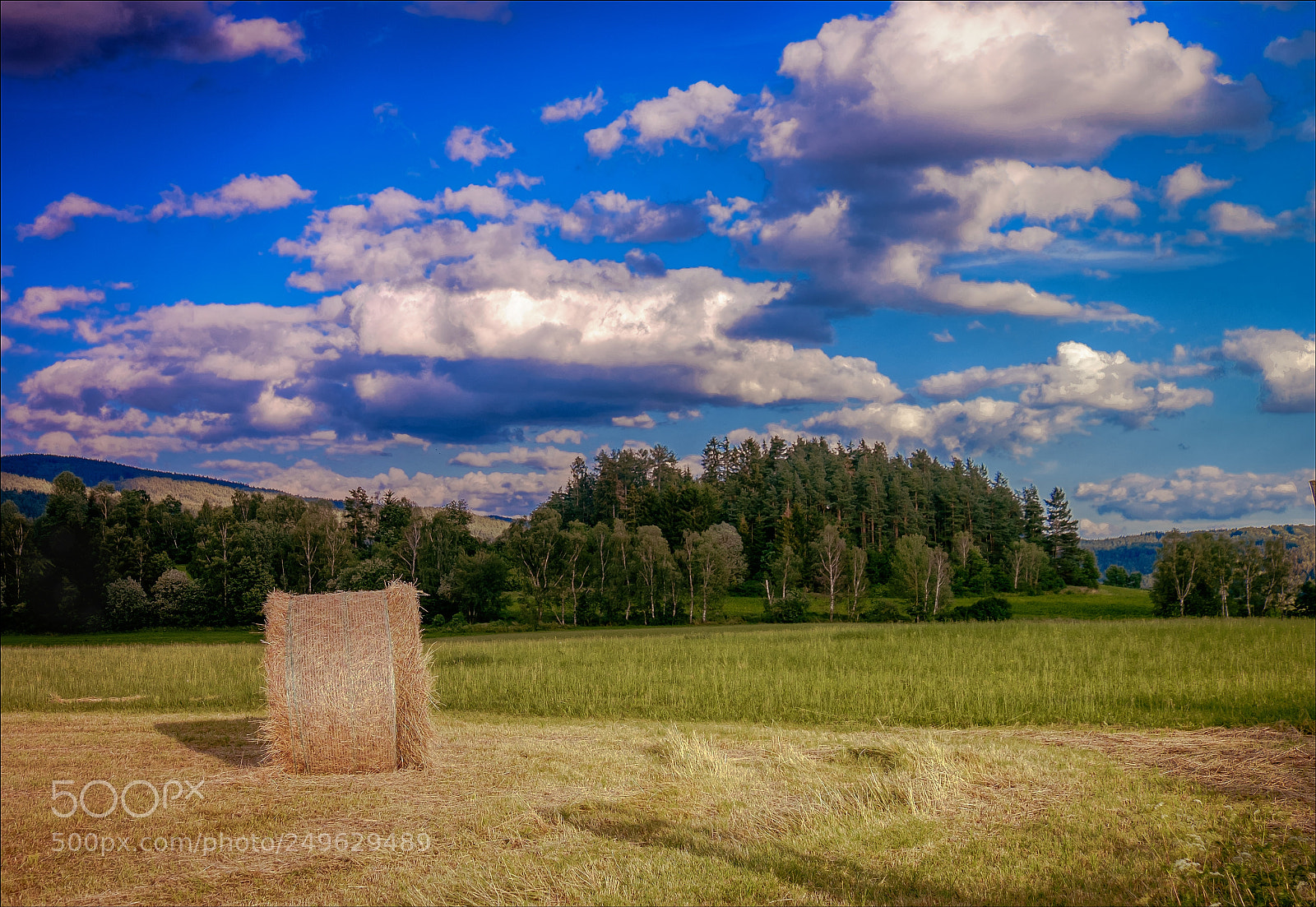 Fujifilm X-T1 sample photo. Summer photography