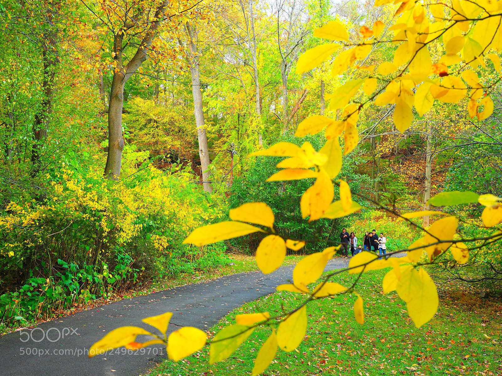Olympus OM-D E-M1 Mark II sample photo. Mising autumn season photography
