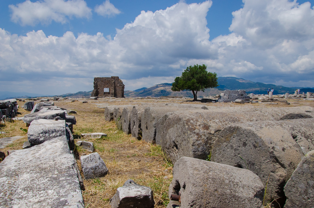 Nikon D7000 sample photo. Bergama photography