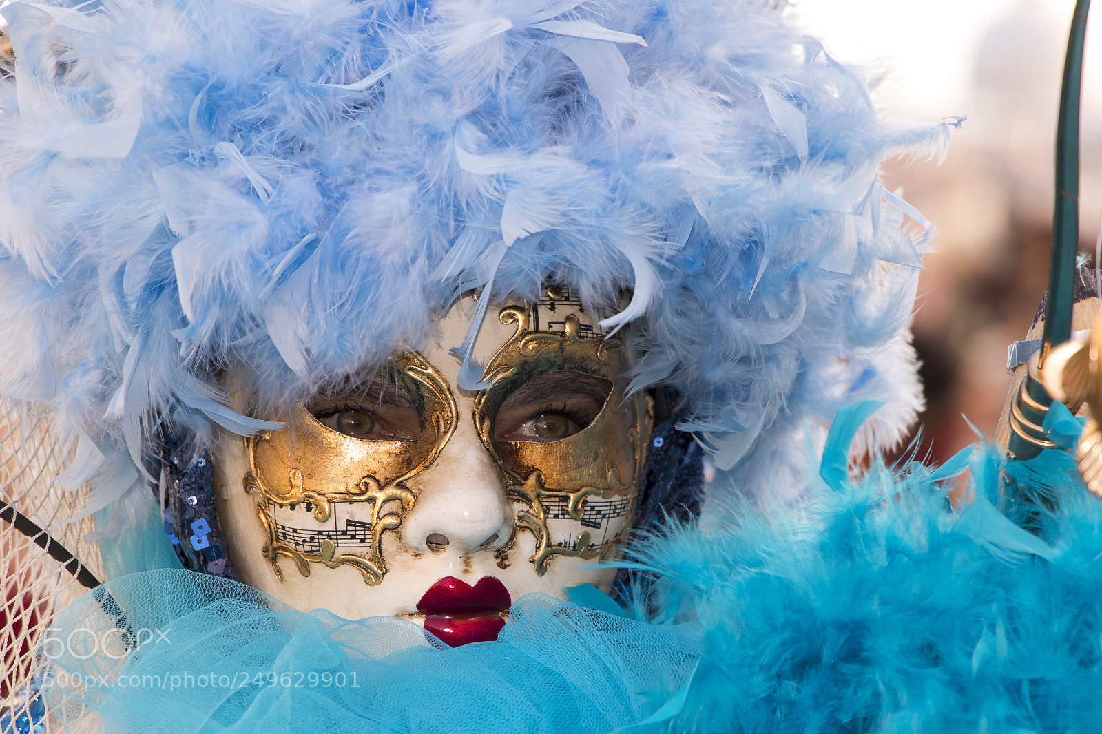 Canon EOS 77D (EOS 9000D / EOS 770D) sample photo. Venice carnival photography