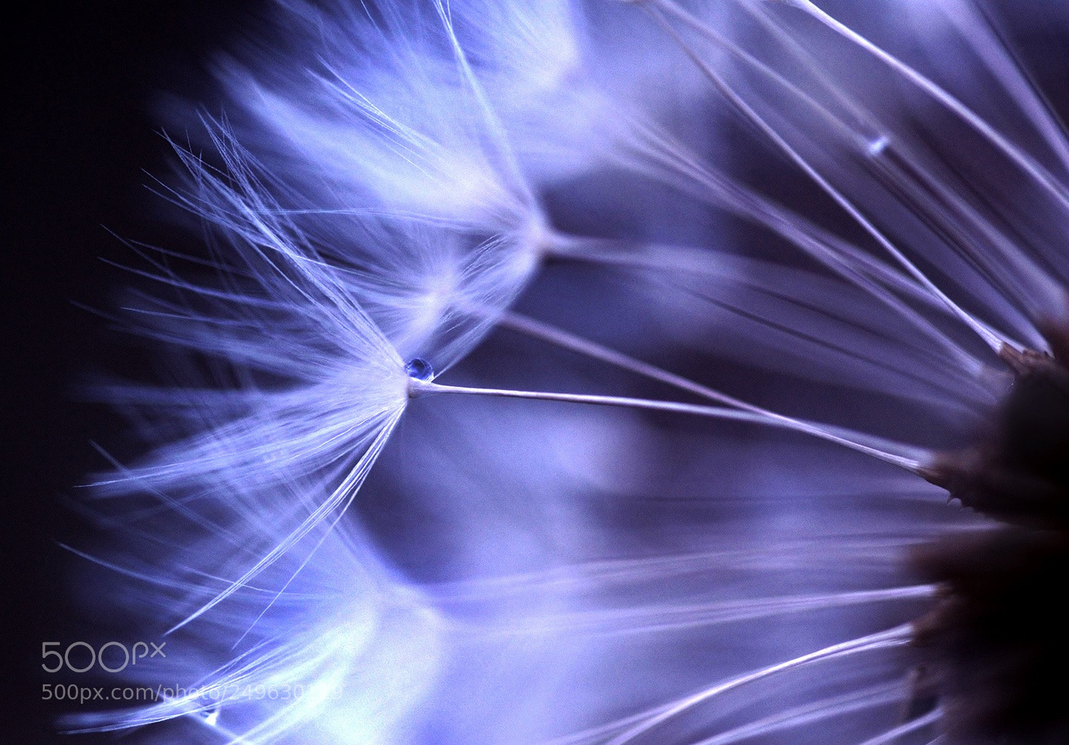 Nikon D3200 sample photo. Sweet dream photography