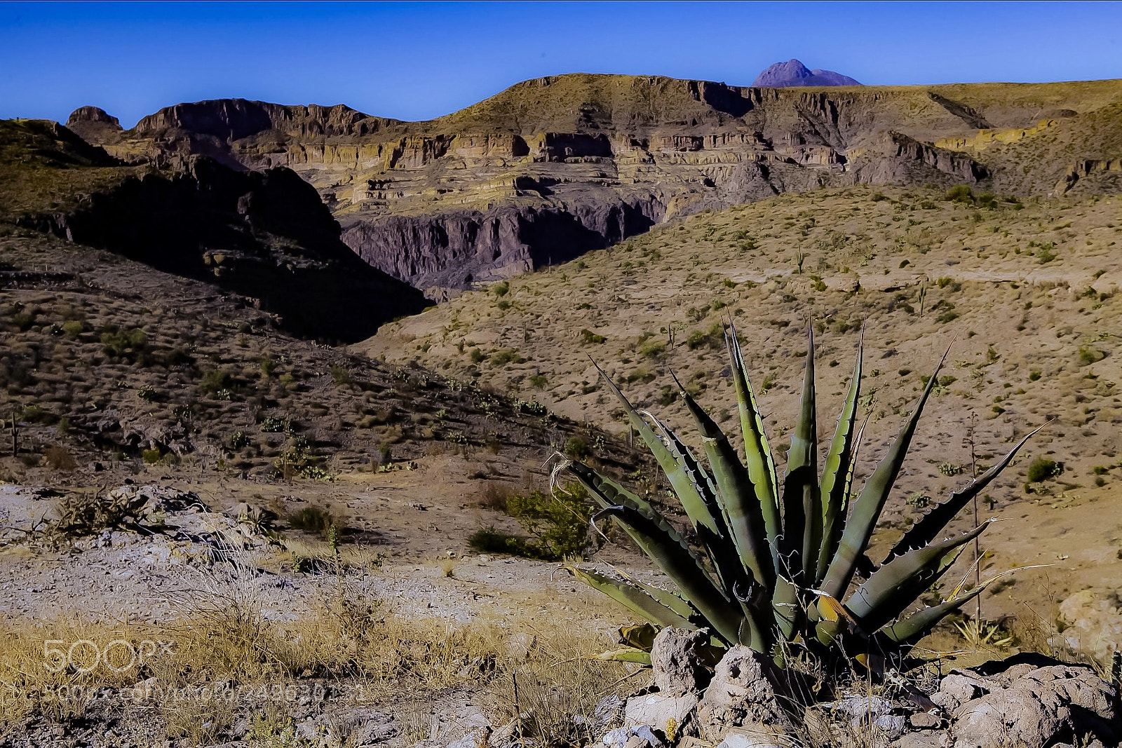 Canon EOS 5D Mark II sample photo. Superstition mountains in arizona photography
