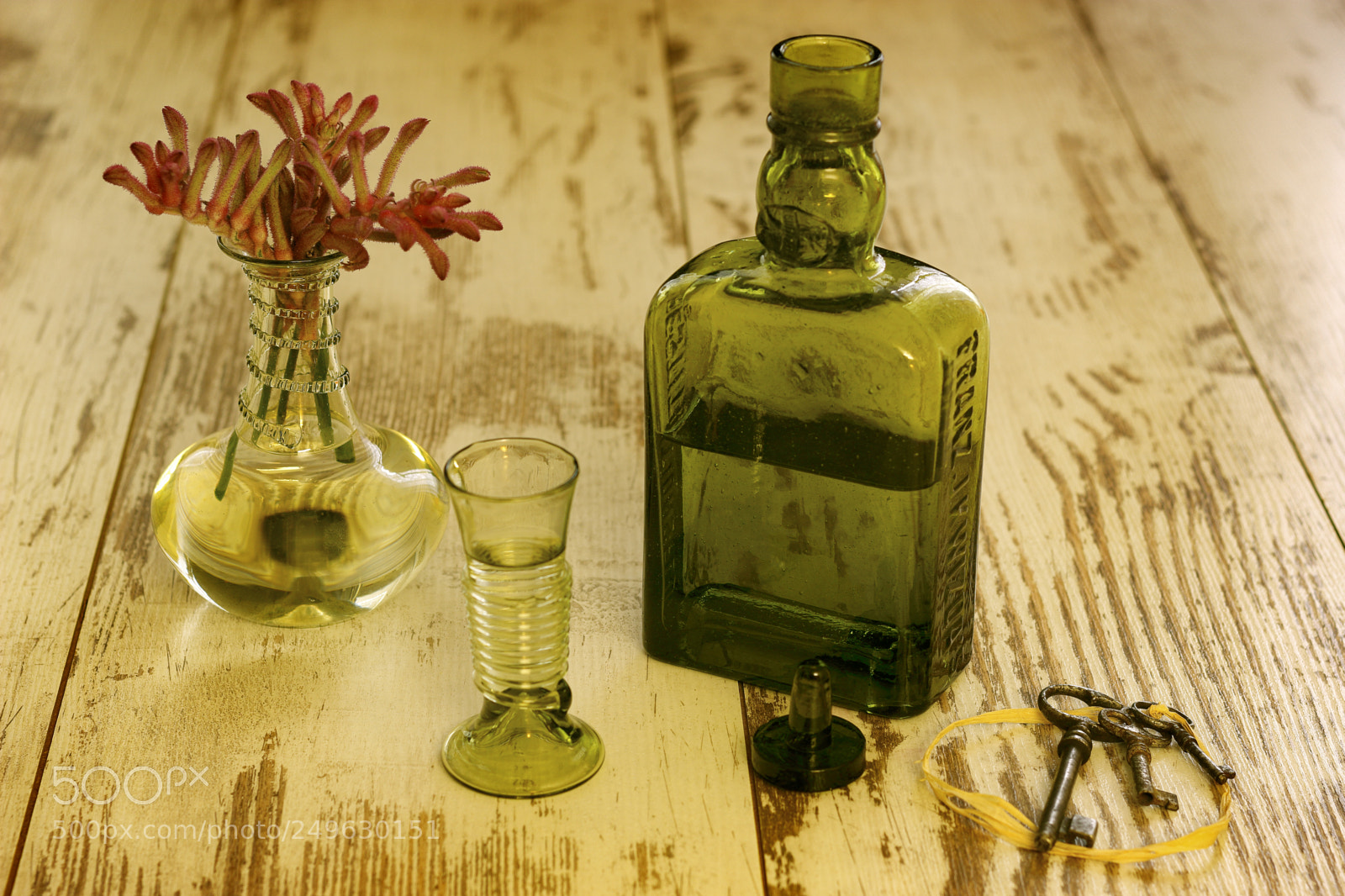 Canon EOS 600D (Rebel EOS T3i / EOS Kiss X5) sample photo. Still life with a photography