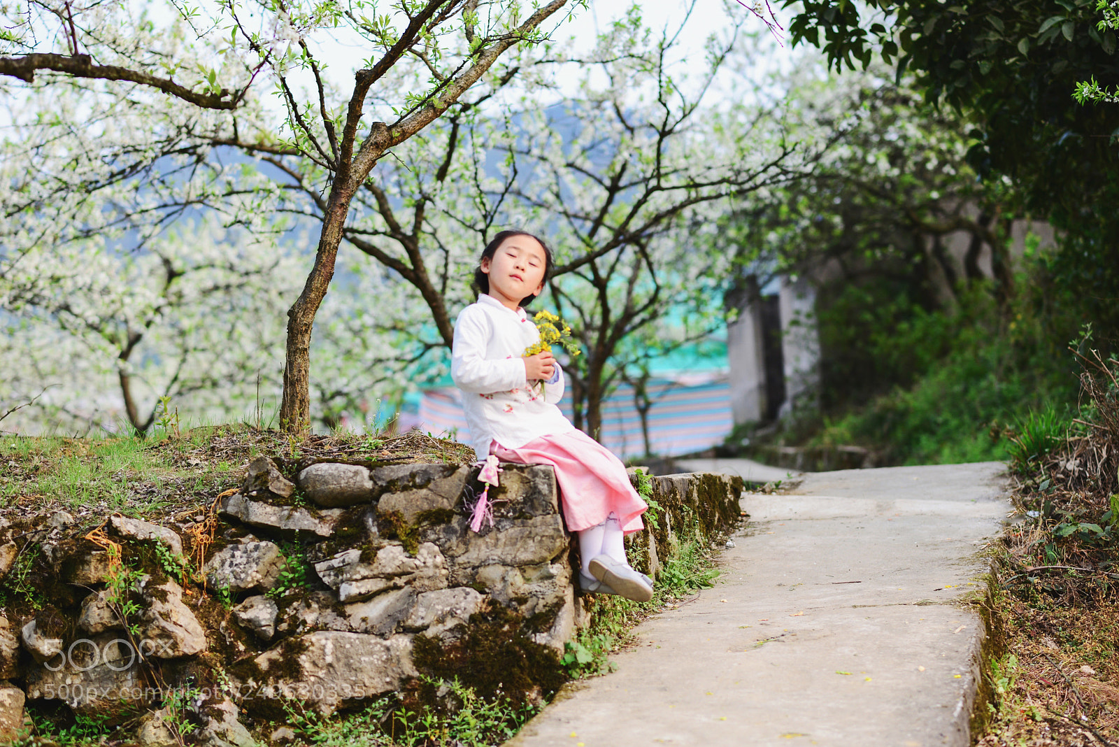 Nikon D610 sample photo. Spring photography