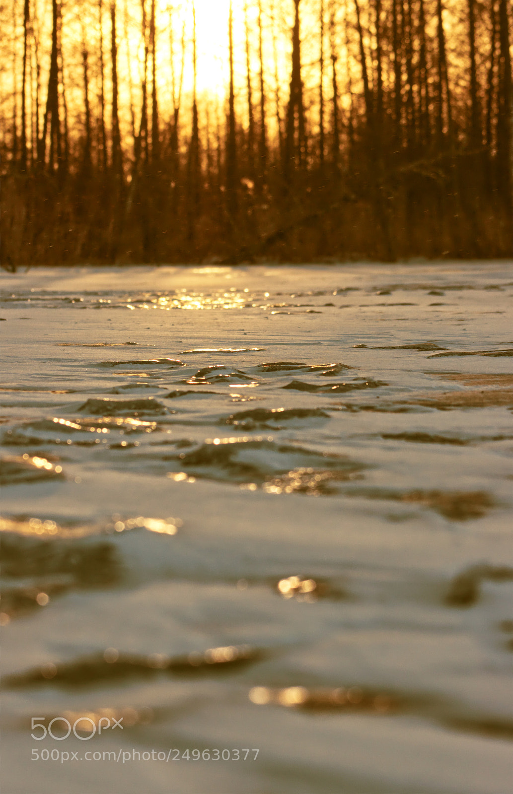 Canon EOS 600D (Rebel EOS T3i / EOS Kiss X5) sample photo. Sundown on the frozen photography