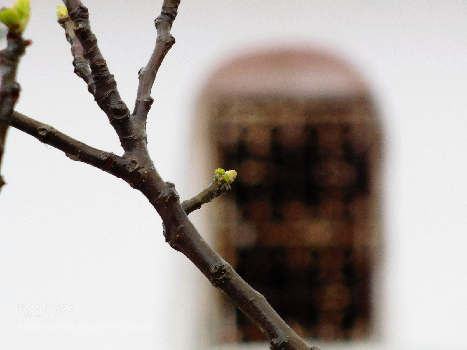 Nikon Coolpix L840 sample photo. Window in background photography
