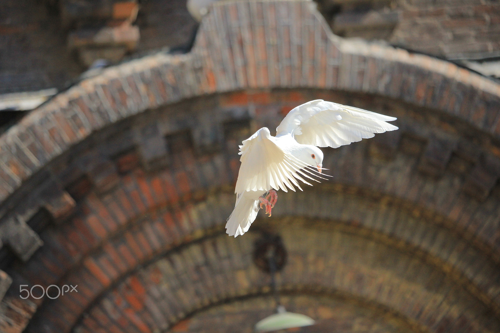 Canon EF-S 55-250mm F4-5.6 IS STM sample photo. Img photography