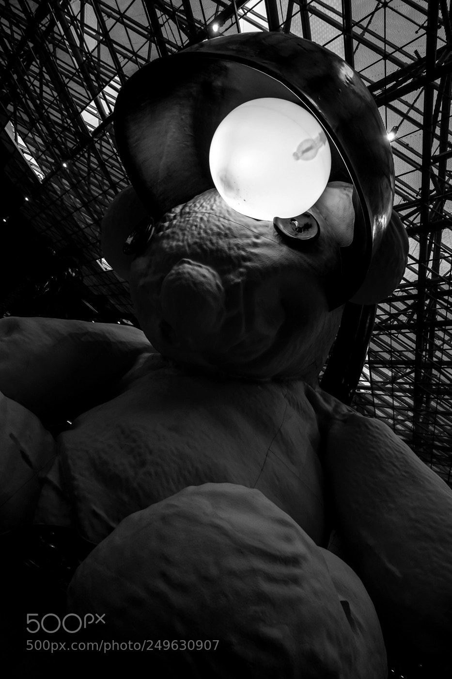 Canon EOS 700D (EOS Rebel T5i / EOS Kiss X7i) sample photo. Monochrome bear photography